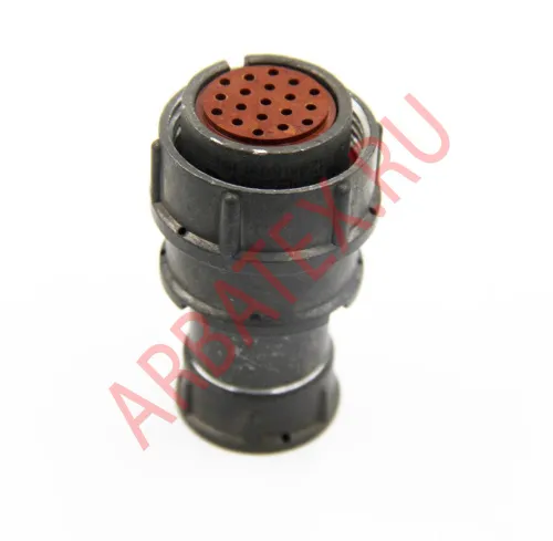 2РМ24КПЭ19Г1В1 Разъемы 2РМ, 2РМТ, 2РМГ, 2РМДТ, ОНЦ-РГ фото фото 5