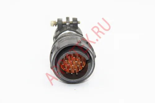 2РМТ24КПН19Ш1В1В Разъемы 2РМ, 2РМТ, 2РМГ, 2РМДТ, ОНЦ-РГ фото фото 5